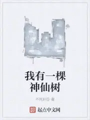 叶轩夏芷涵小说叫什么