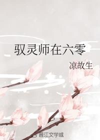 驭灵师在六零